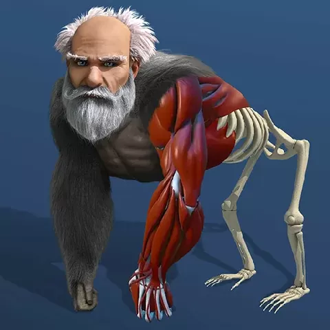 Game background of Idle Evolution From Cell to Human